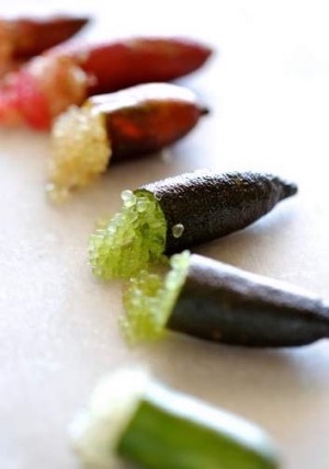 finger lime 2 .jpg